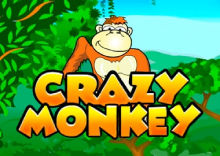 Crazy Monkey OZZO